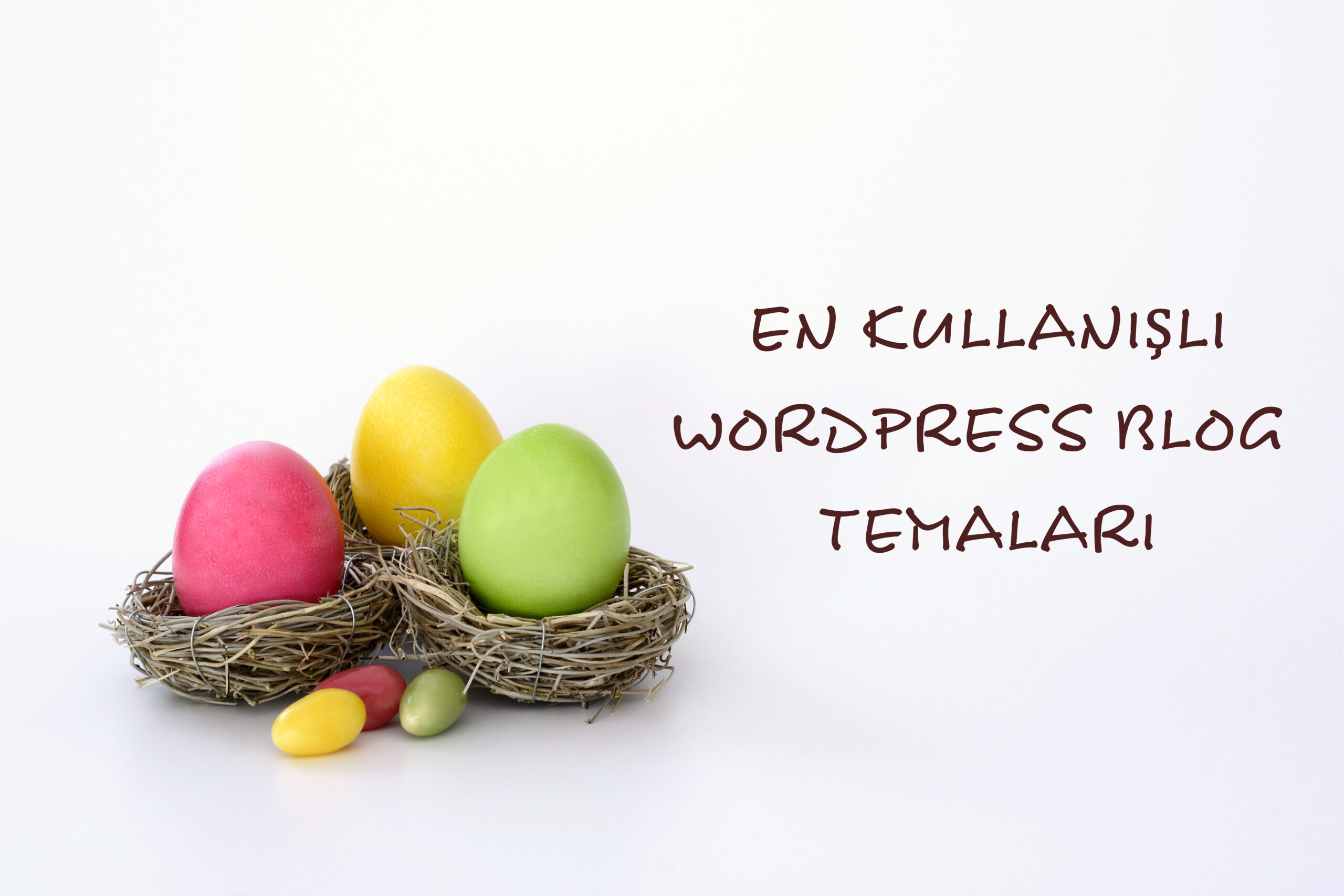 WordPress blog