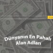 Milyonlarca dolarlık alan adlarını temsil eden para yığınının üzerinde, "Dünyanın En Pahalı Alan Adları" başlığı ve alan adı sorgulamak için bir arama çubuğu.