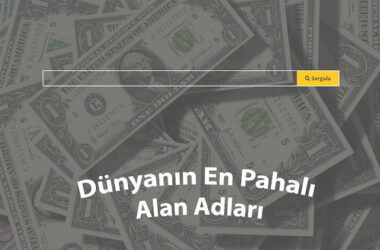 Milyonlarca dolarlık alan adlarını temsil eden para yığınının üzerinde, "Dünyanın En Pahalı Alan Adları" başlığı ve alan adı sorgulamak için bir arama çubuğu.