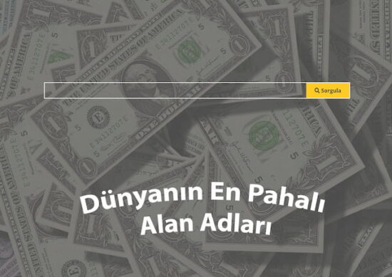 Milyonlarca dolarlık alan adlarını temsil eden para yığınının üzerinde, "Dünyanın En Pahalı Alan Adları" başlığı ve alan adı sorgulamak için bir arama çubuğu.