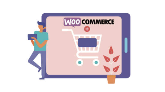Wordpress E-ticaret Sitesi Kurmak