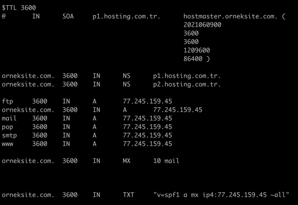 DNS İçin Gerekli Dosya Türleri Nelerdir?