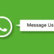 Yeşil arka plan üzerinde, bir WordPress WhatsApp eklentisi tarafından eklenen sohbet özelliğini simgeleyen WhatsApp logosu ve "Message Us" yazan bir iletişim butonu.