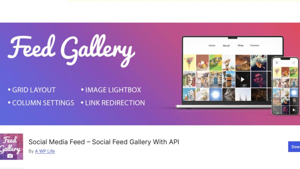 Social Media Feed